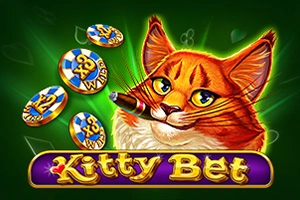 00292 kitty bet
